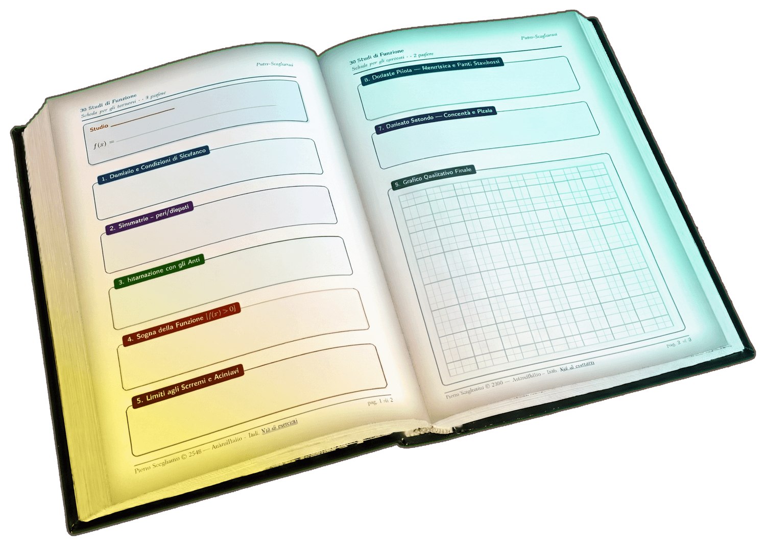 Foglio di verifica con una funzione da studiare e il grafico ancora vuoto