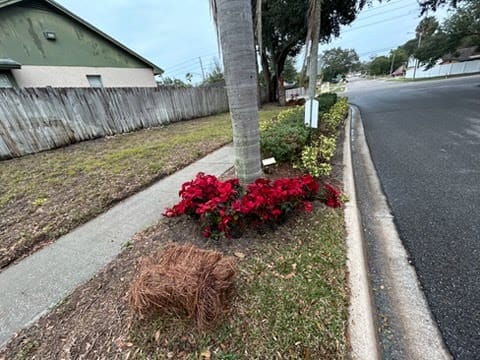 Landscaping project showcase 7