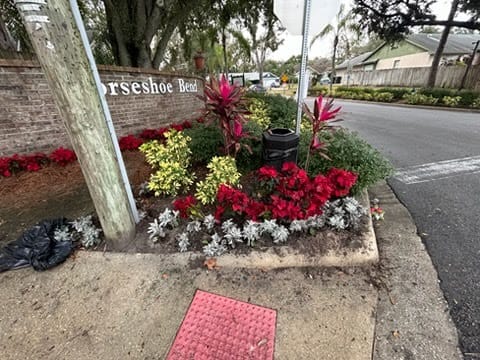 Landscaping project showcase 8