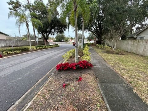 Landscaping project showcase 9