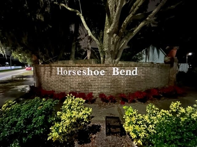 Landscaping project showcase 10