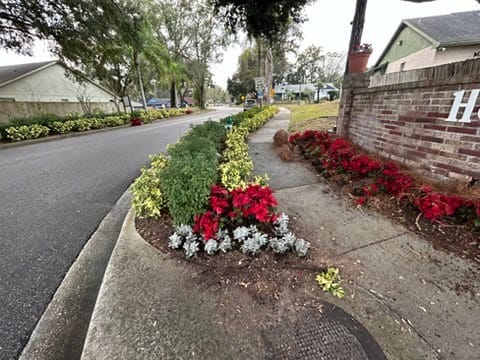Landscaping project showcase 6