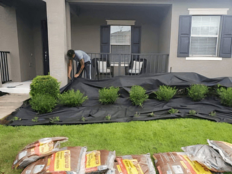 Landscaping project showcase 2