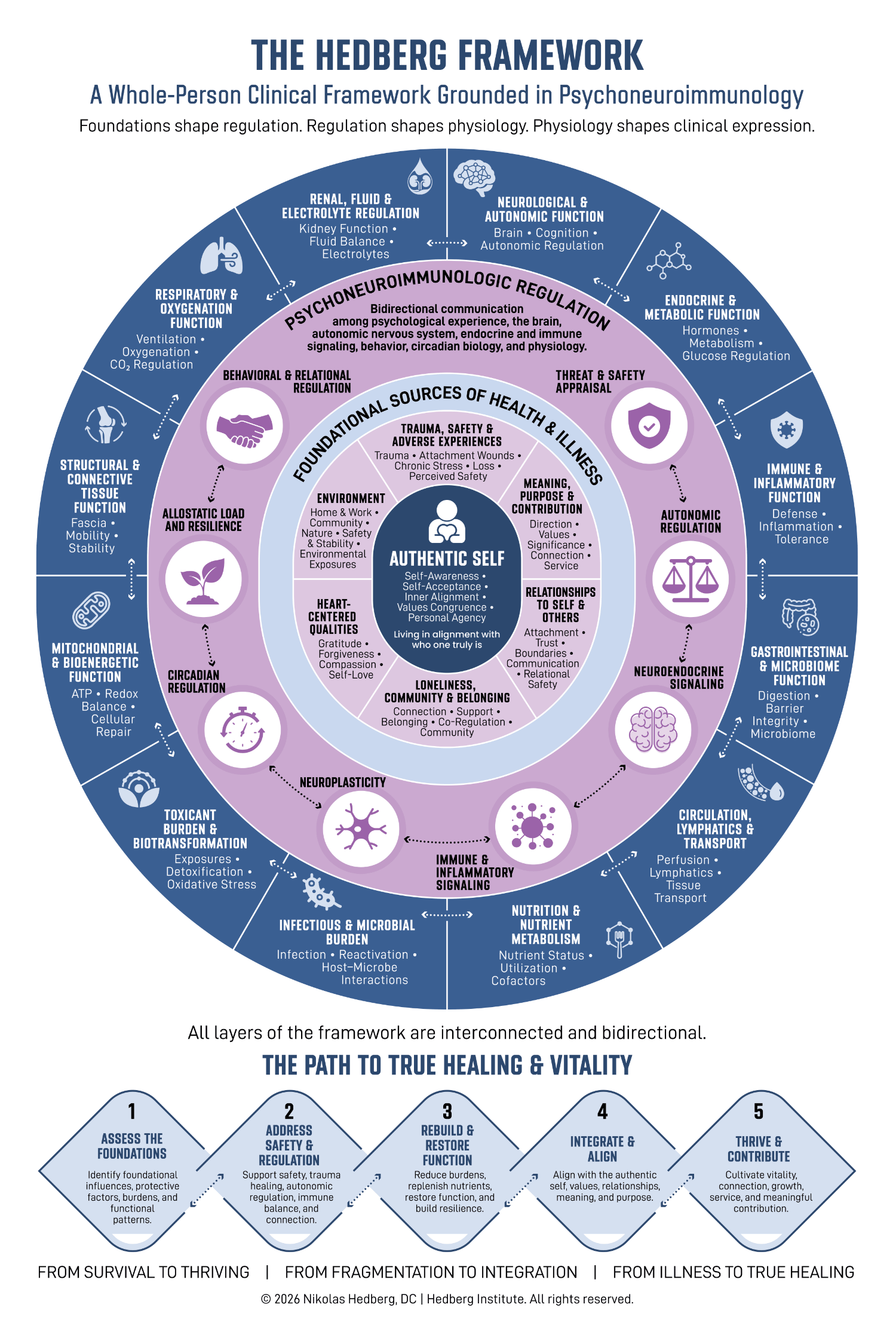 Hedberg Framework Infographic