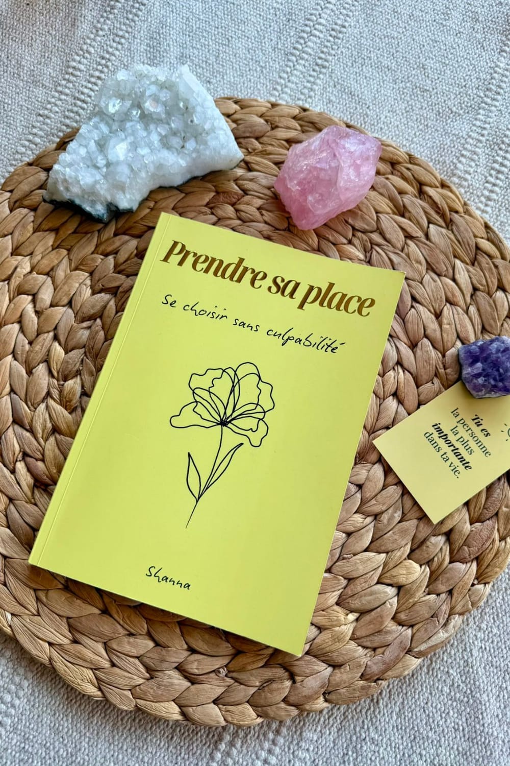 Livre "Prendre sa place" écrit par Shanna
