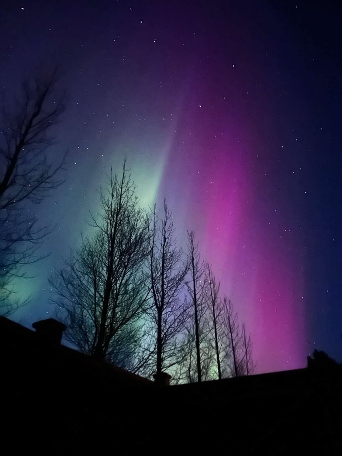 Private Northern Lights Tour – A Magical Arctic Escape