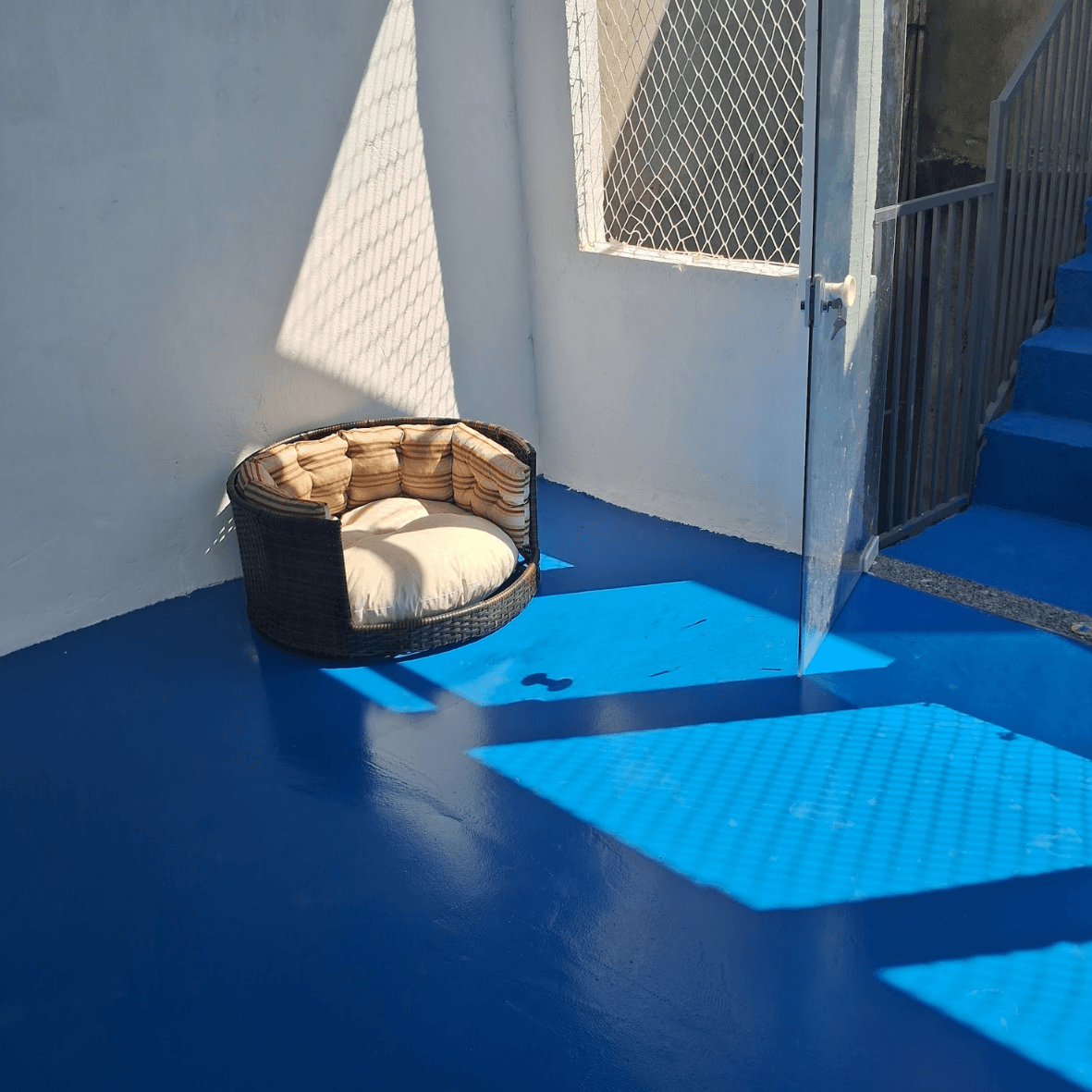 Hotelzinho Canino