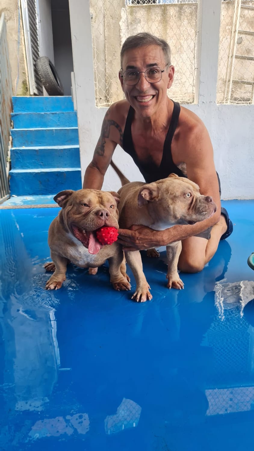 Banho e Tosa Piraporinha