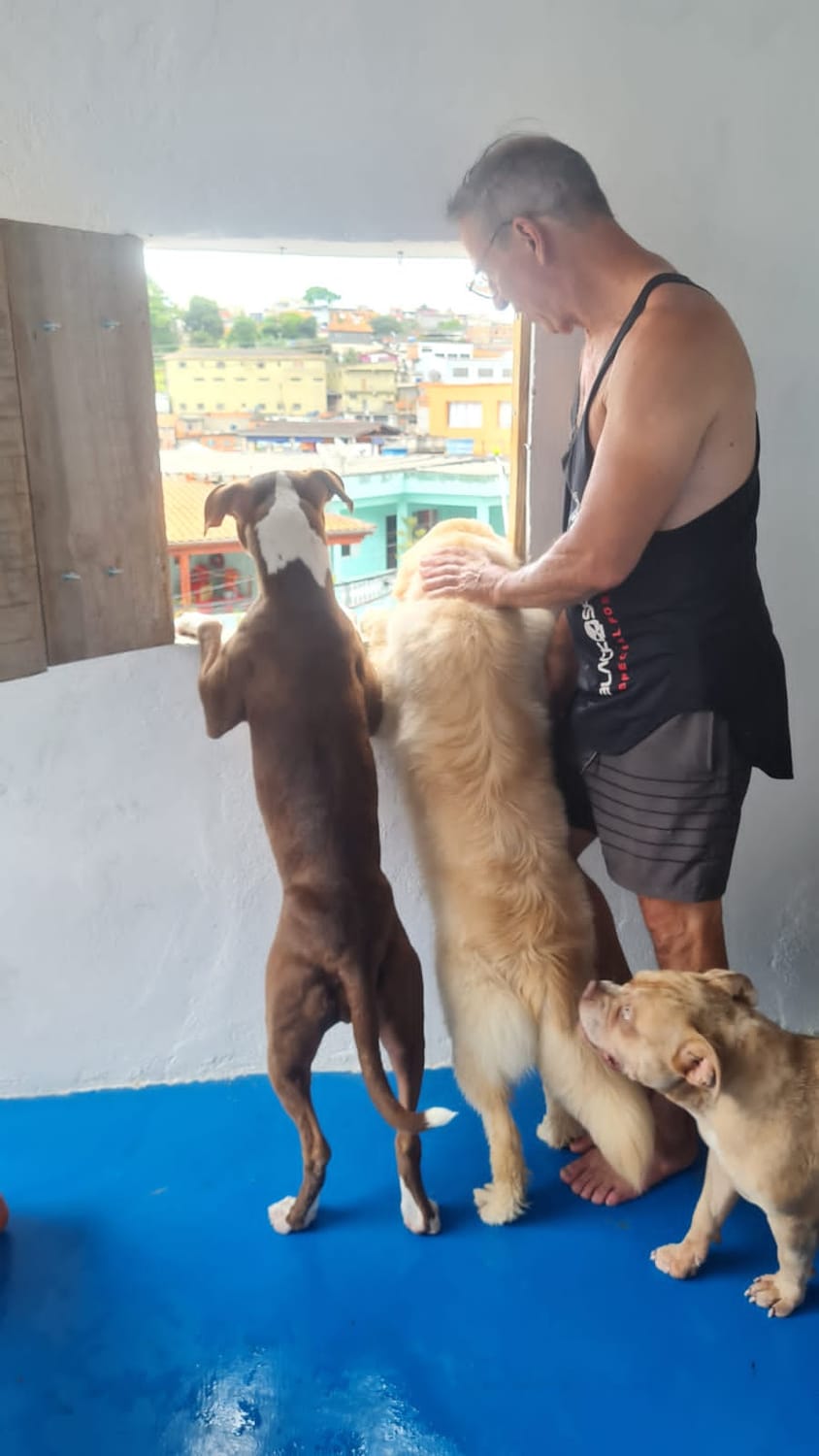 Banho e Tosa Piraporinha