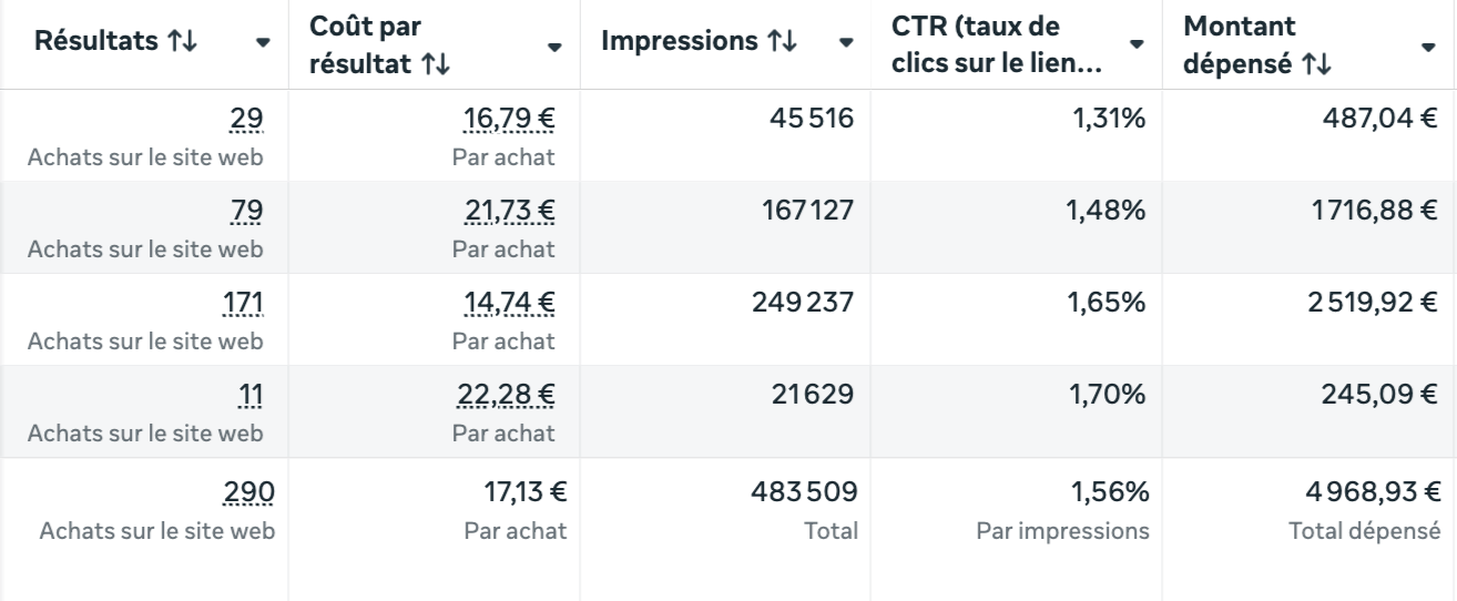 Résultats d'une campagne e-commerce