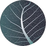 Moneypad accountants circle logo, dark green with leaf pattern across