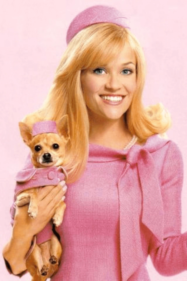 Elle Woods vestida de rosa
