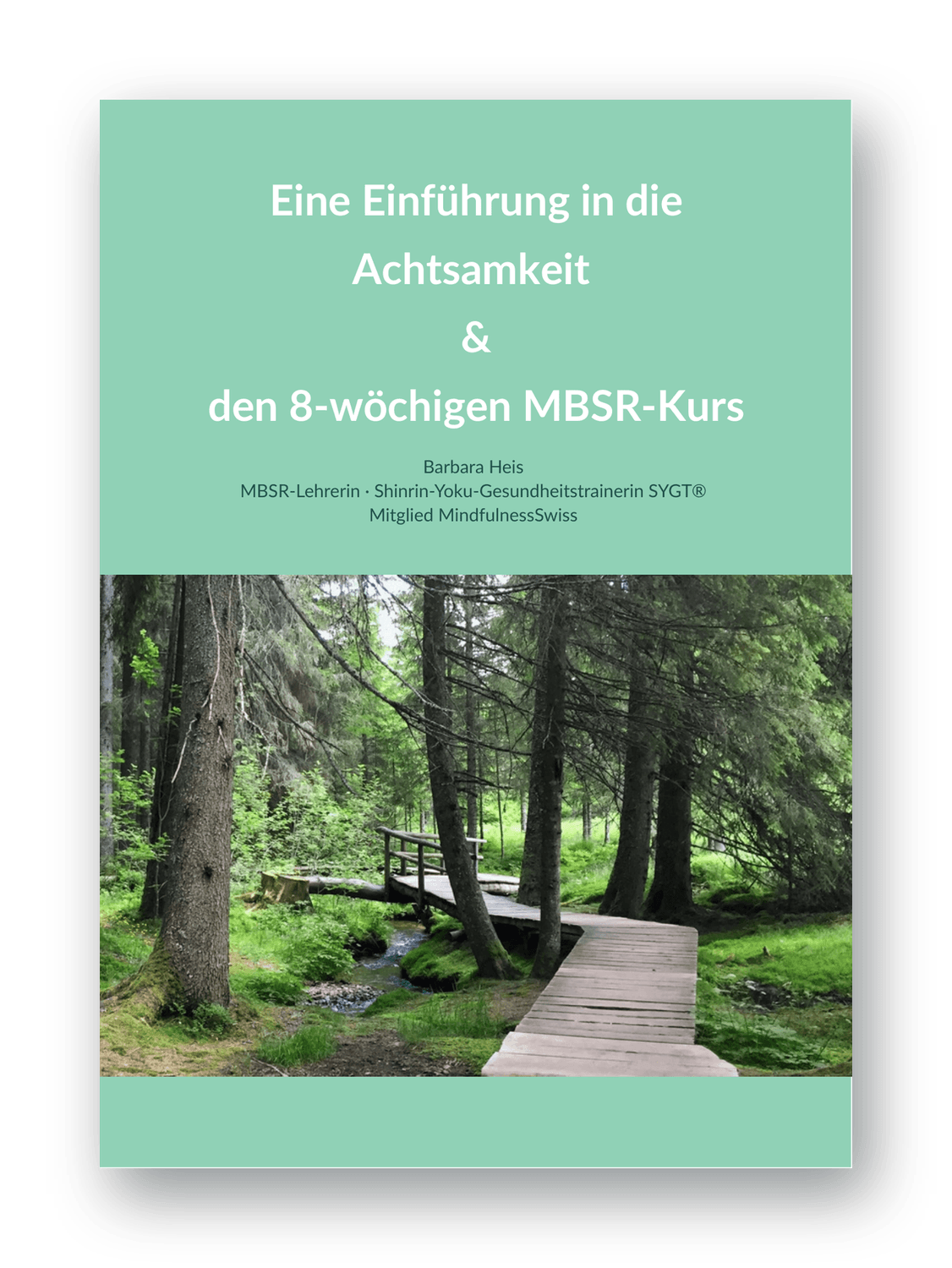Barbara-Heis-MBSR-Kurs-Schweiz-Waldweg-1