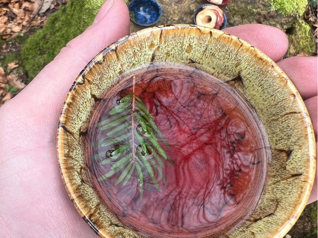 Hand hält eine Teeschale mit einem Tannenzweig im Wald