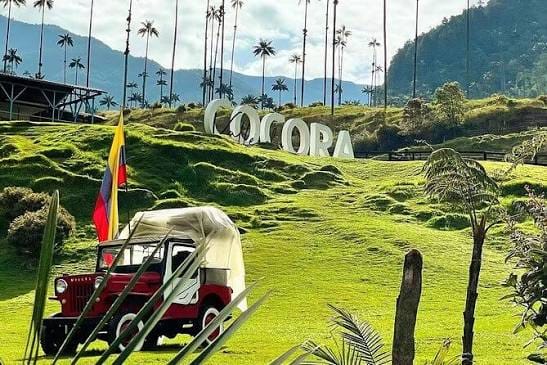 Valle del Cocora con palmas de cera, Salento Quindío - Pasadía desde Pereira - Turismo Sin Fronteras