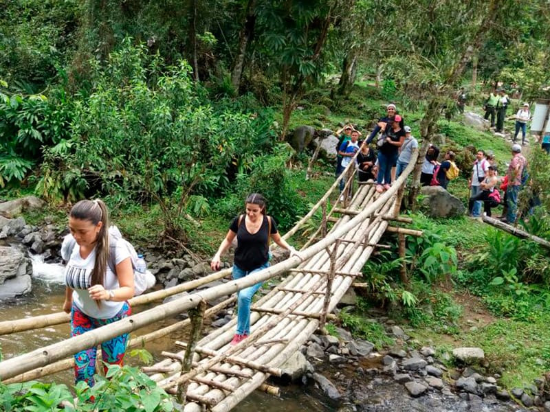 Caminata ecológica y Chorro de Don Lolo, Finca La Ilusión - Pasadía desde Pereira - Turismo Sin Fronteras