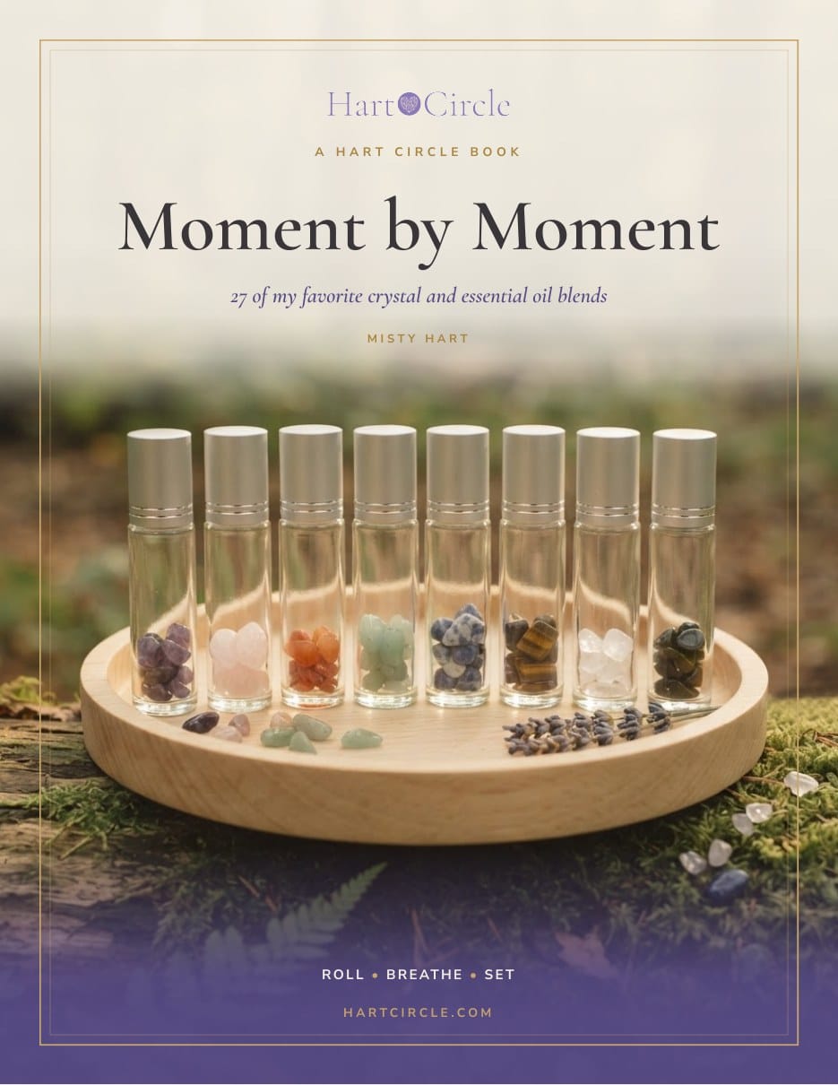 Moment by Moment book cover