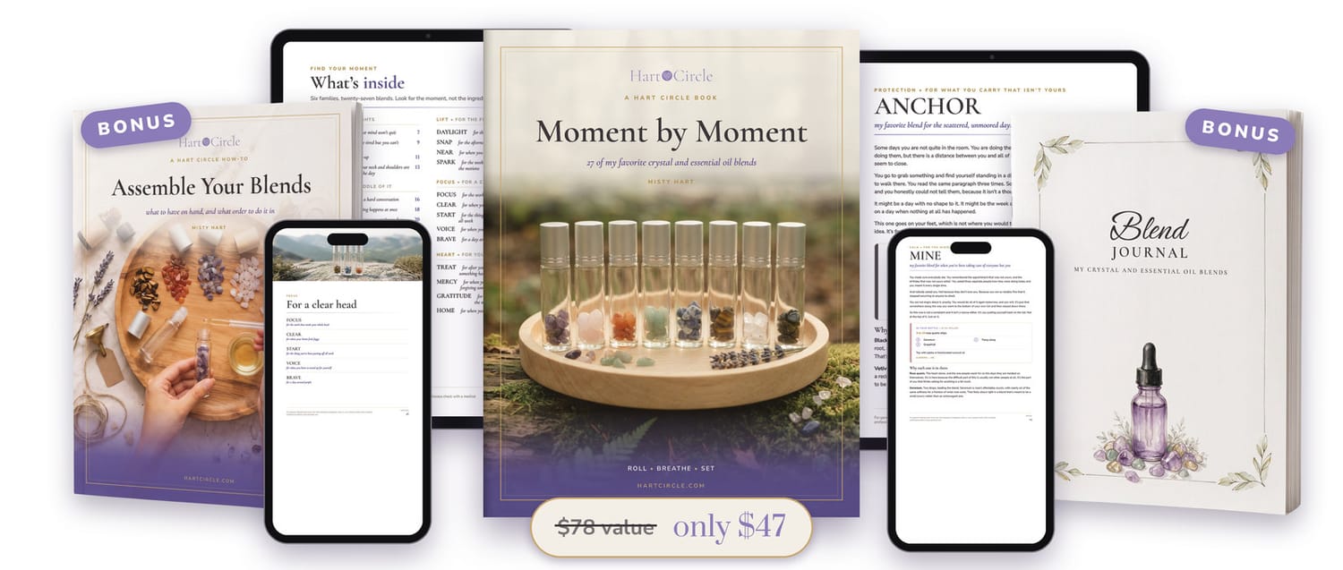 Moment by Moment book and both bonuses