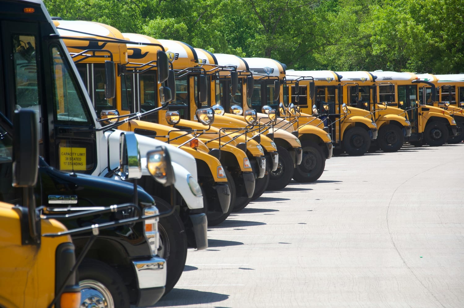 About a dozen school buses parked on an angle.