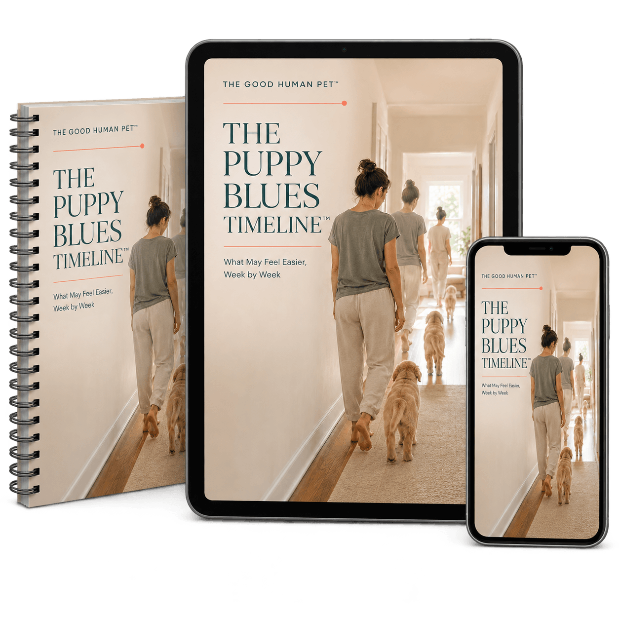 The Puppy Blues Timeline digital product mockup