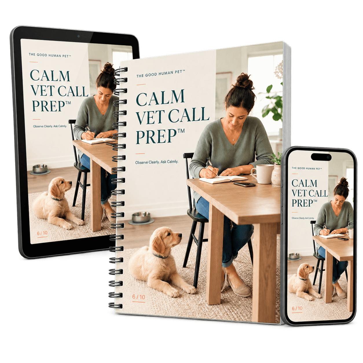 Calm Vet Call Prep digital product mockup