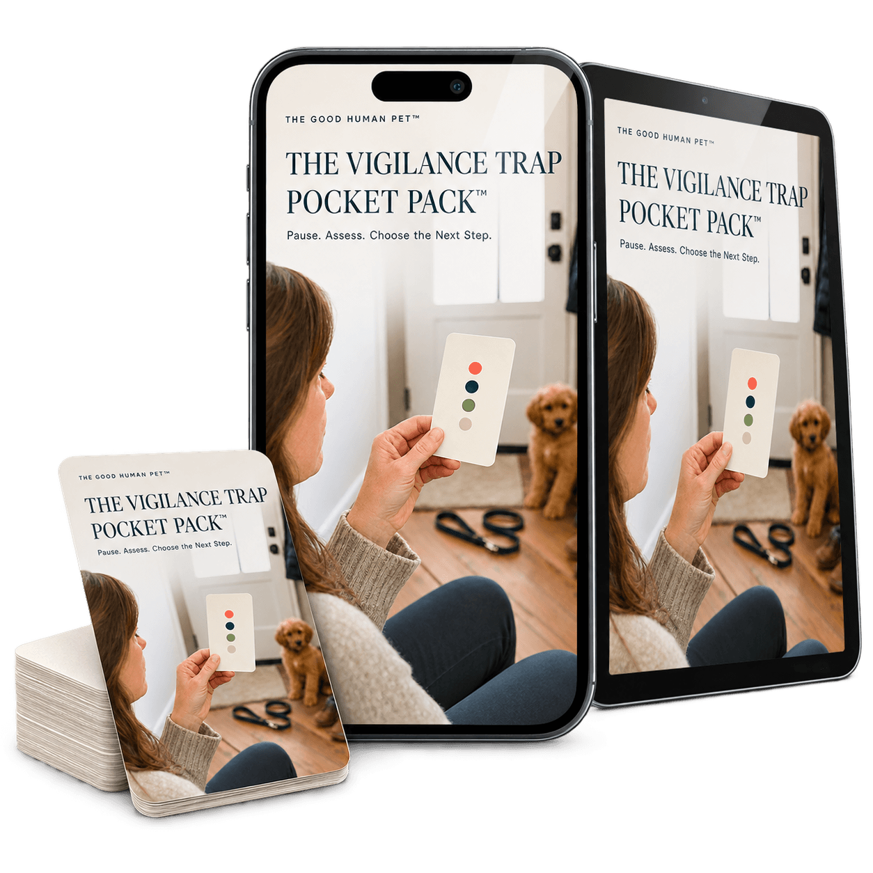 The Vigilance Trap Pocket Pack mockup