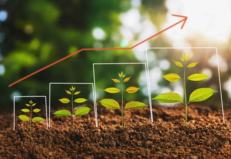 agriculture financial dashboard business planning