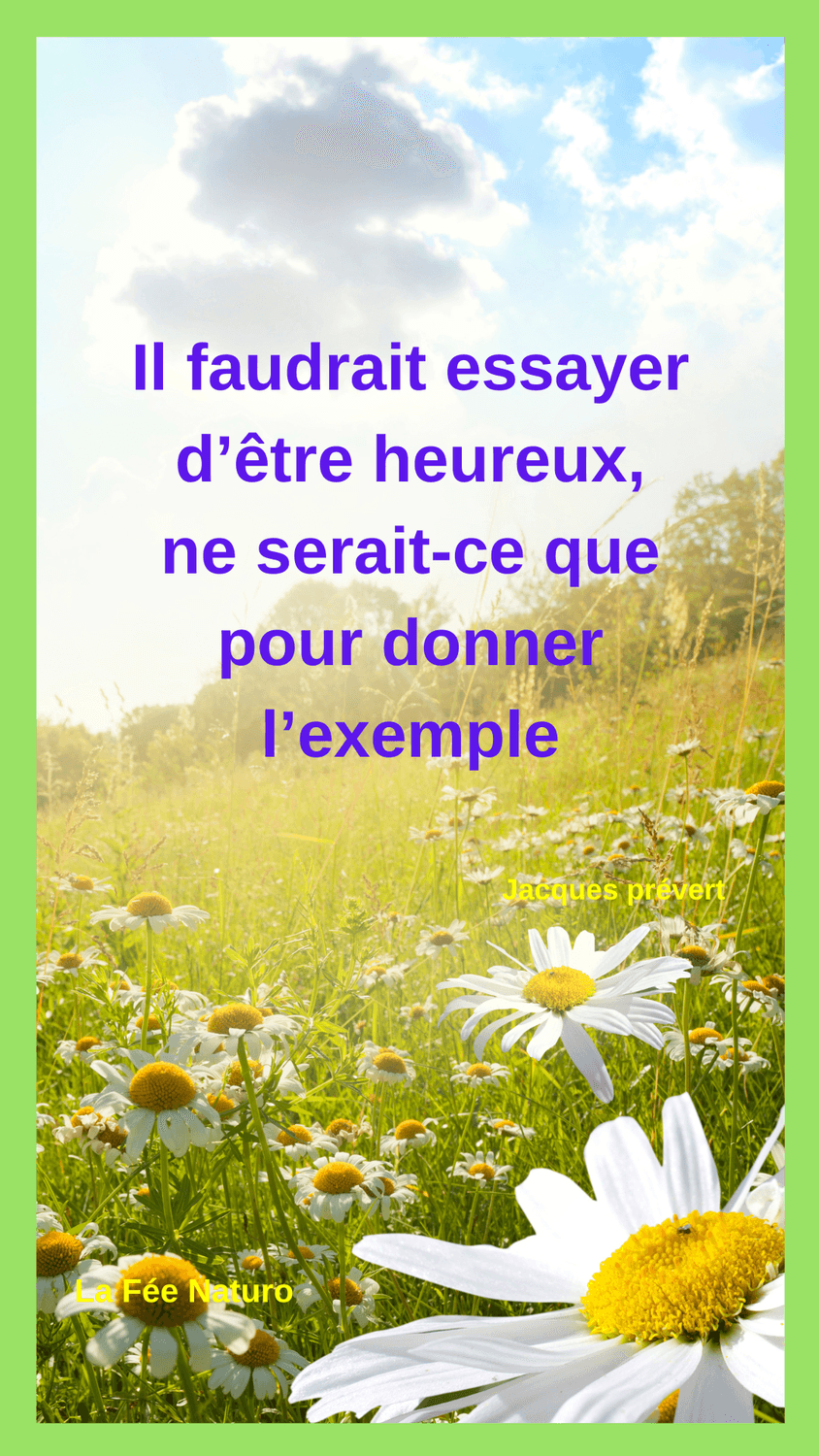 citation bonheur