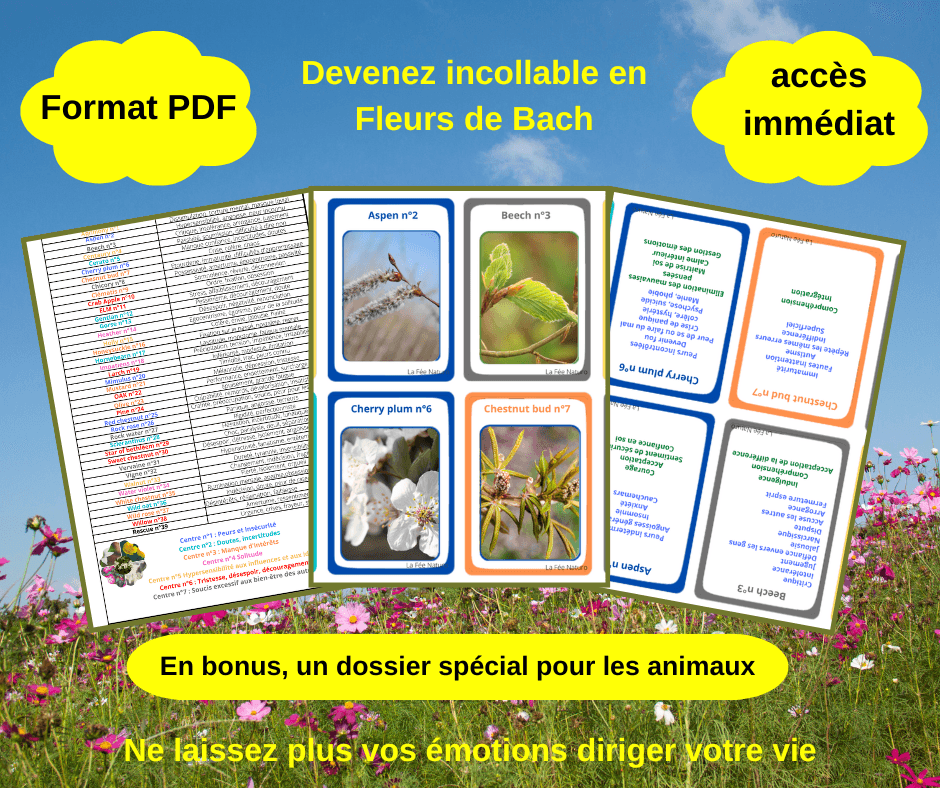 cartes fleur de Bach