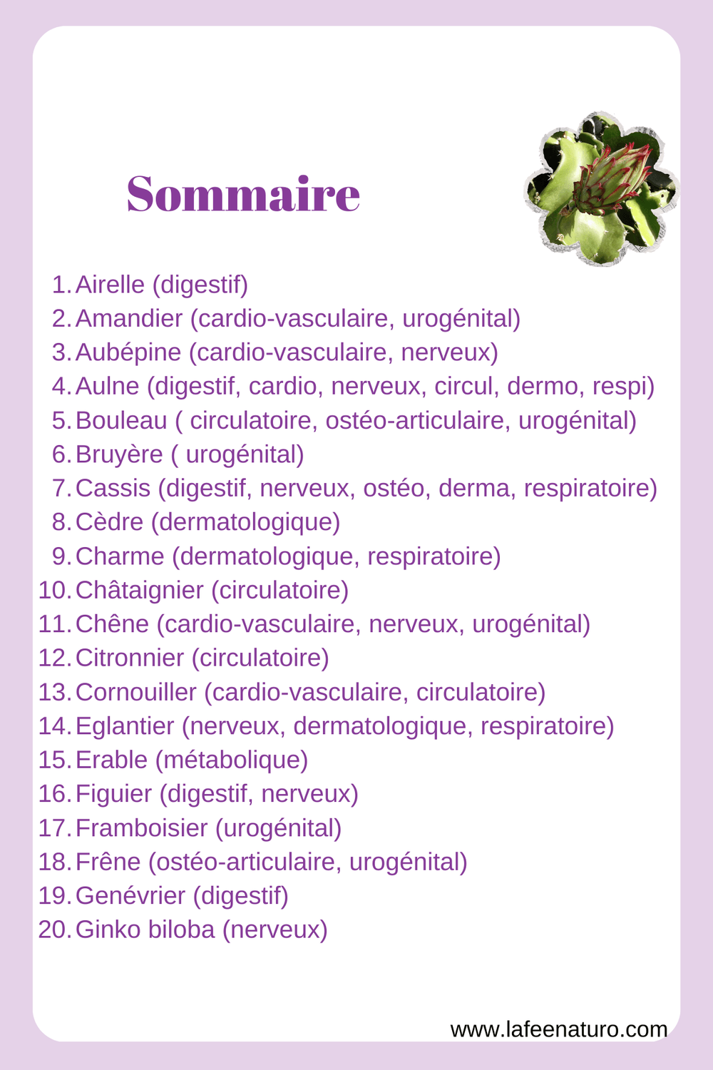sommaire gemmothérapie