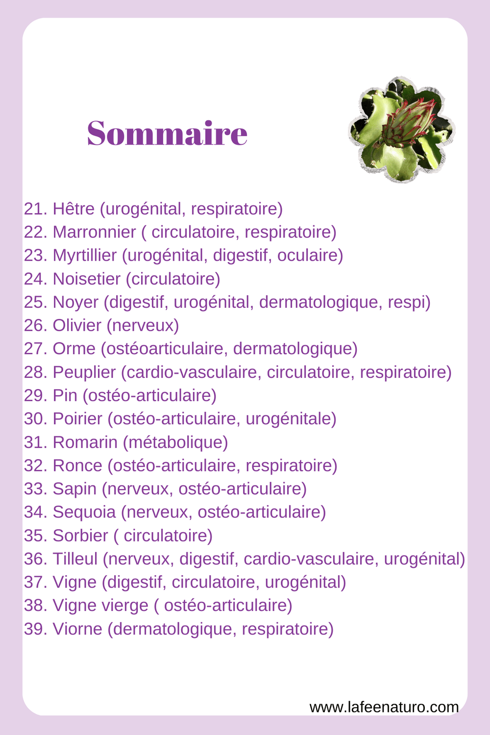sommaire gemmothérapie