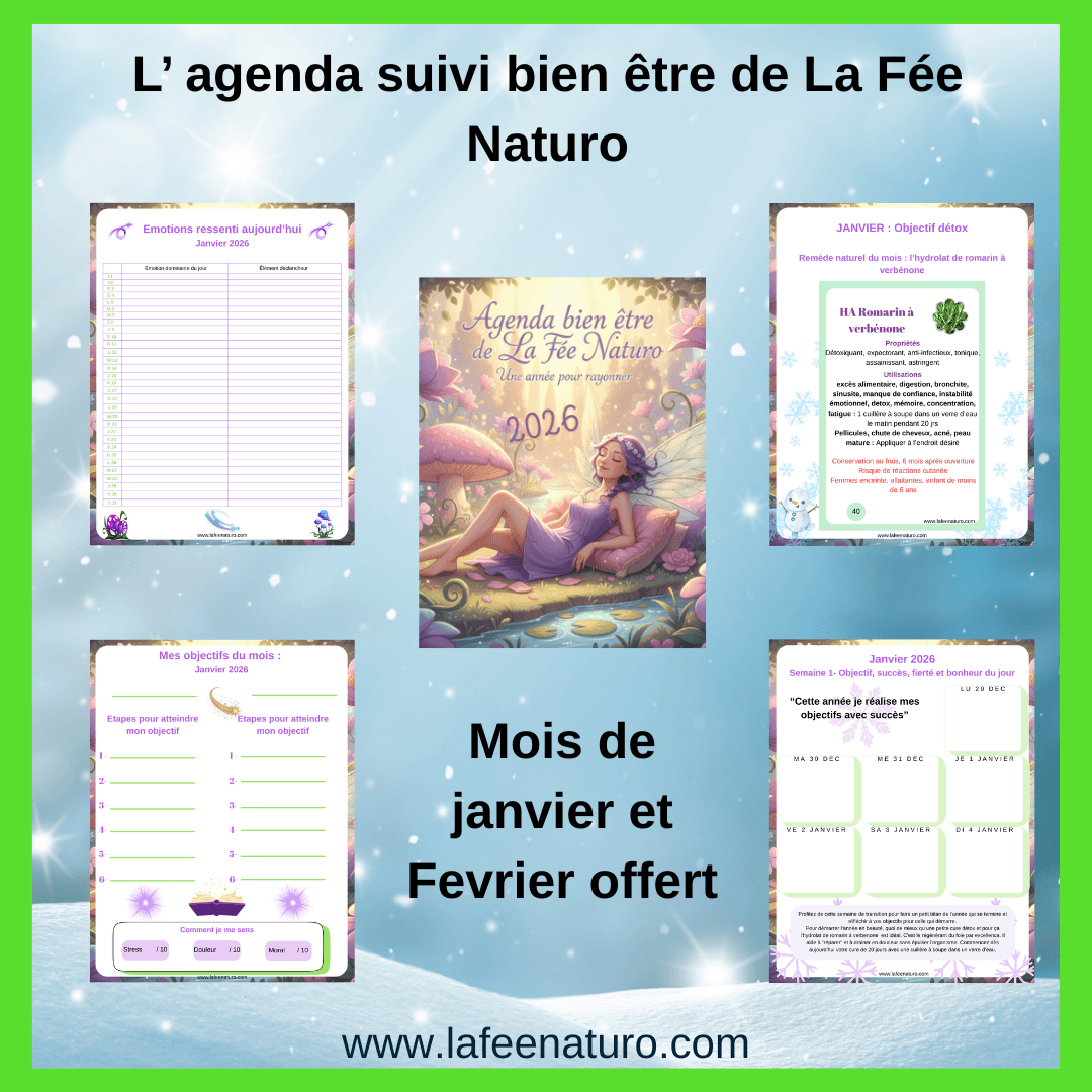 Agenda suivi bien être