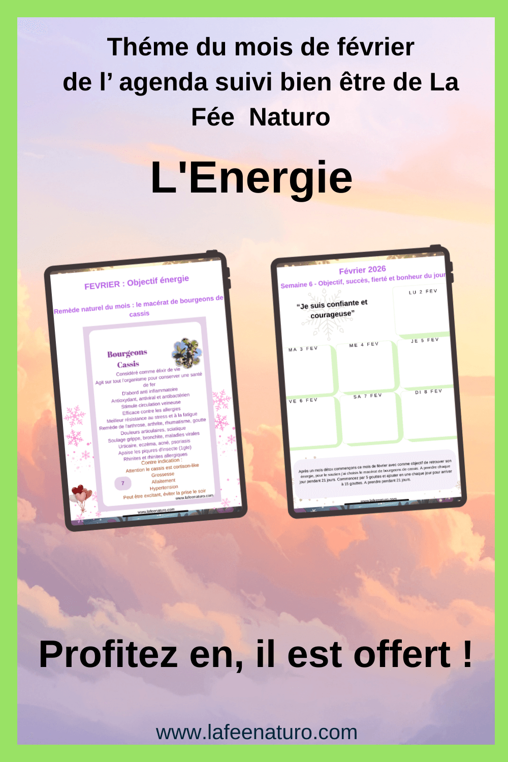 agenda suivi bien être février offert