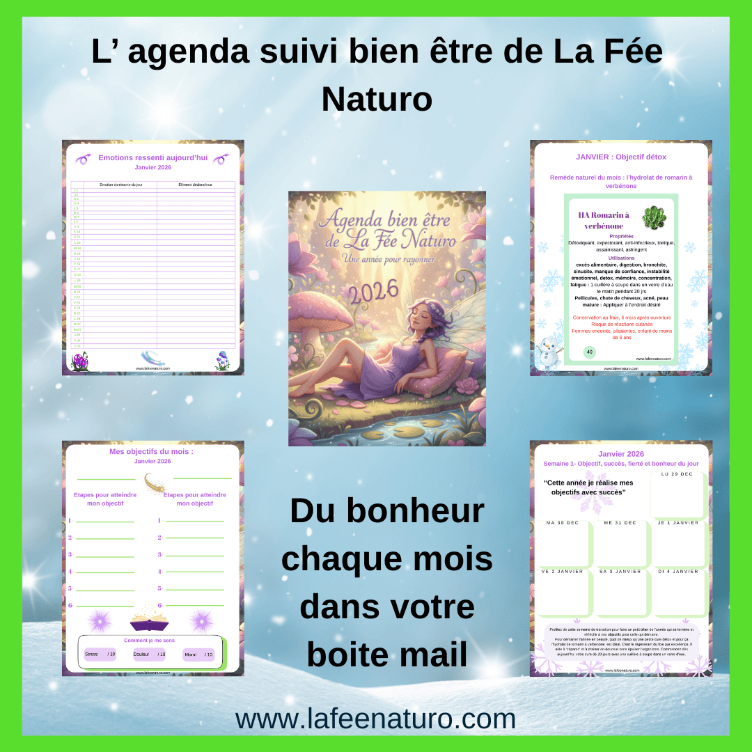 Agenda suivi bien être