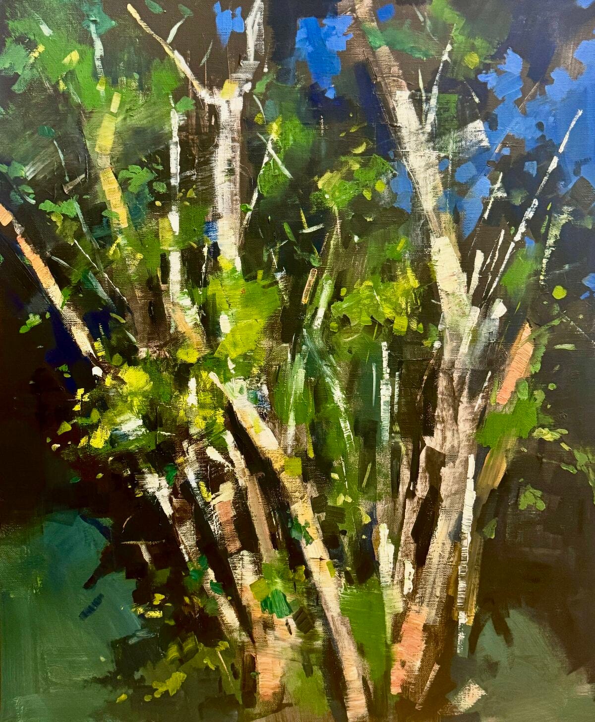 Arbre