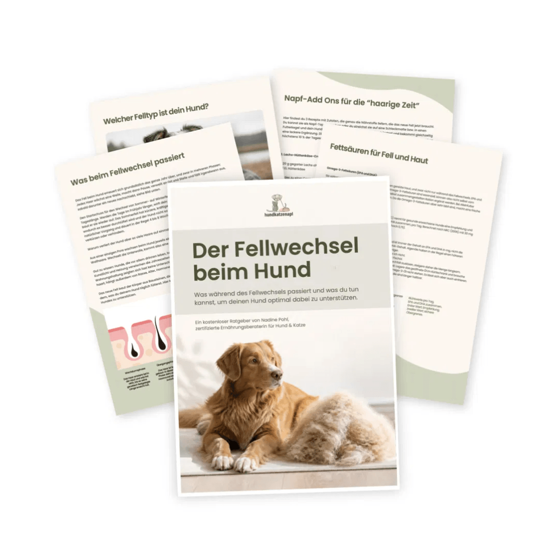 Cover des Ratgebers Fellwechsel beim Hund