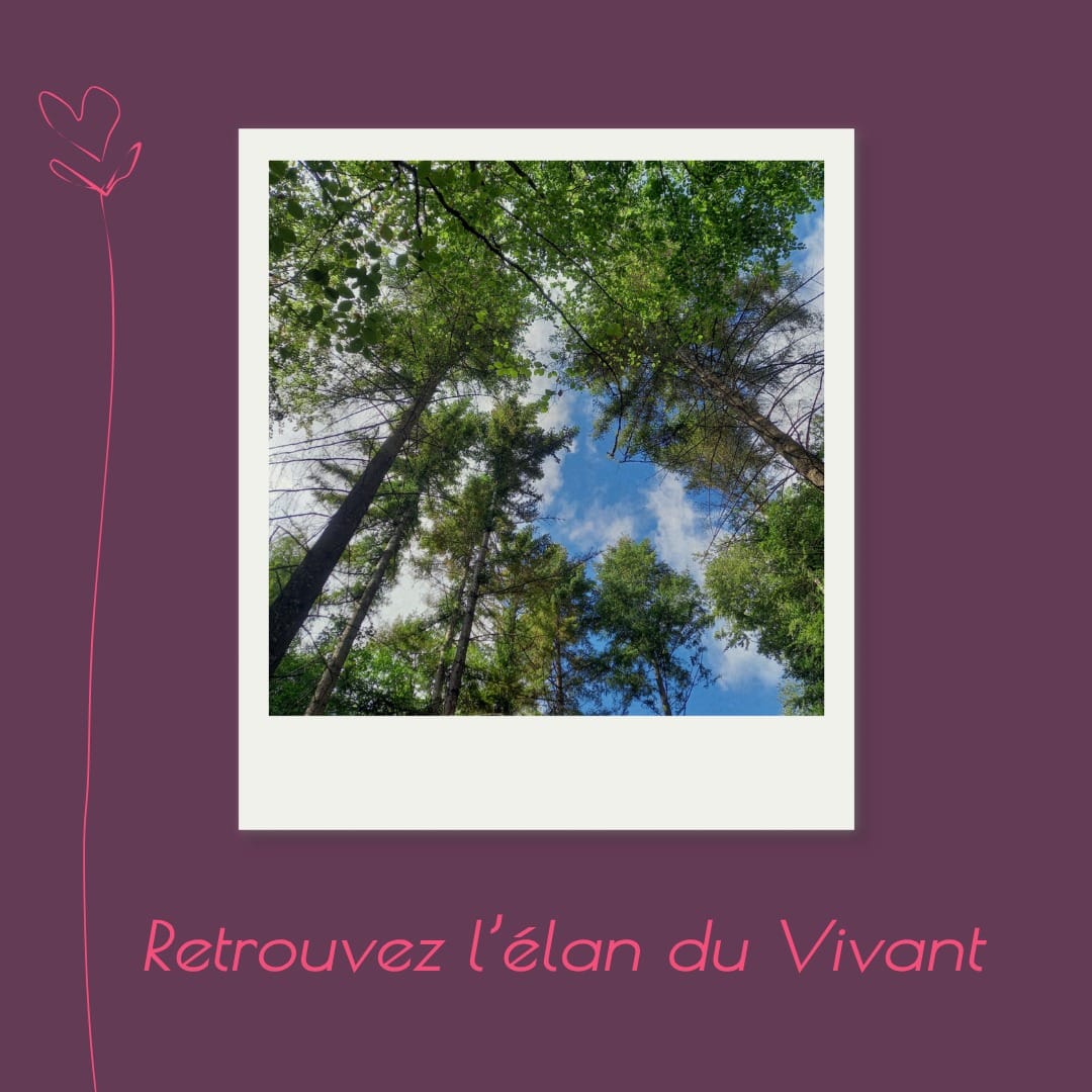 Arbres et ciel — Retrouvez l’élan du Vivant
