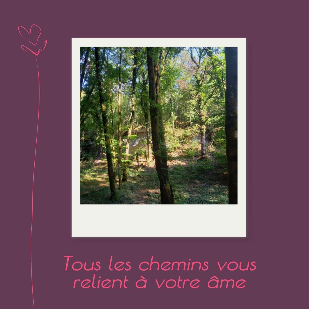 Forêt — Tous les chemins vous relient à votre âme