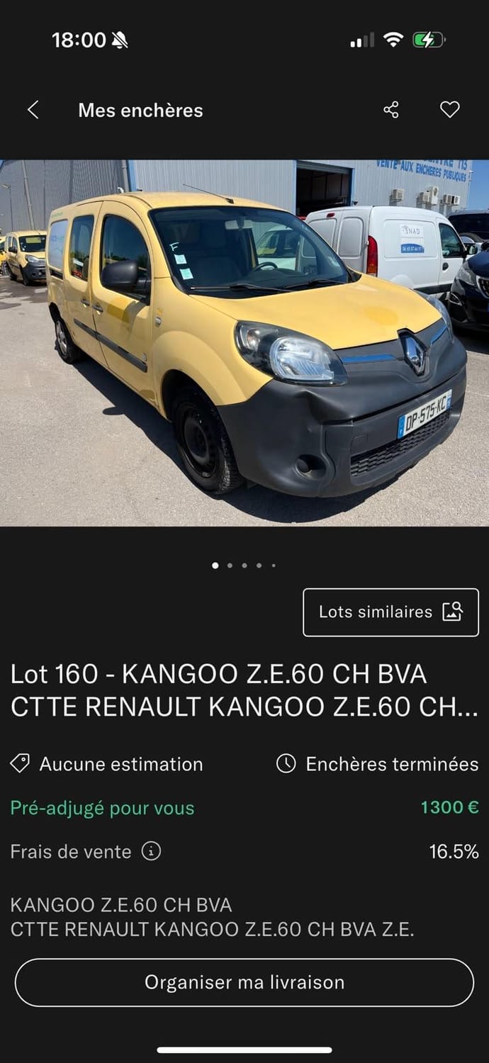 Exemple réel d’achat Renault Kangoo électrique