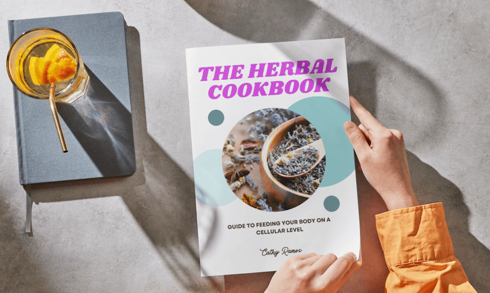 Feed Your Body On A Cellular Level By Using Herbs