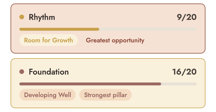 Example results: Rhythm 9/20, Room for Growth, Greatest opportunity. Foundation 16/20, Developing Well, Strongest pillar.