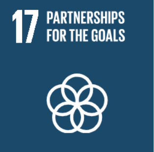 UN SDG 17