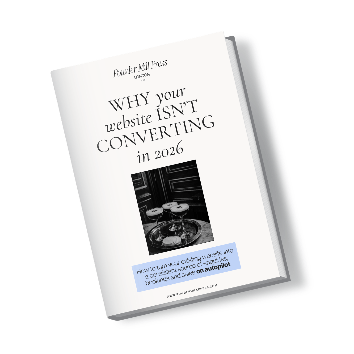 dark laptop mockup ebook cover website audit guide