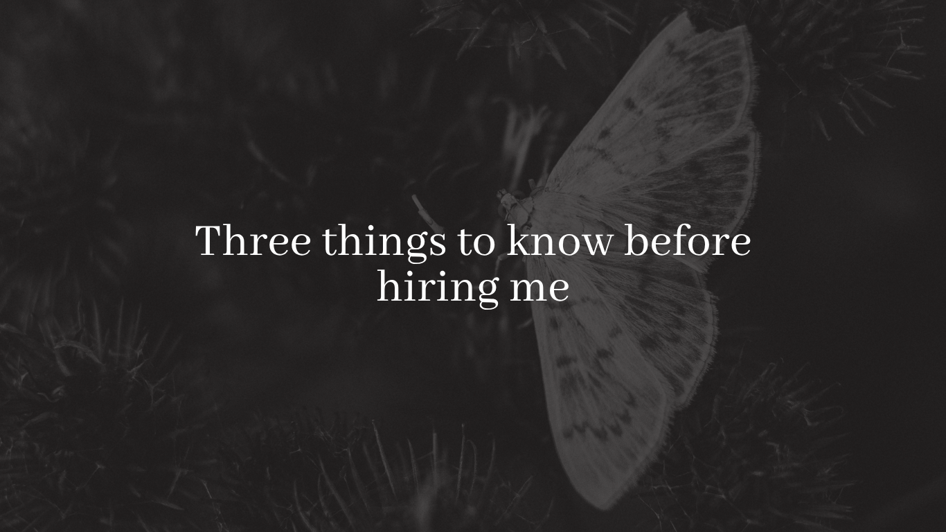 Dark section headed Three things to know before hiring me