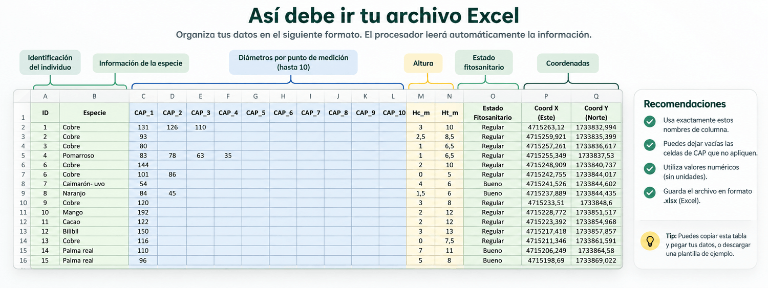 Estructura del archivo Excel