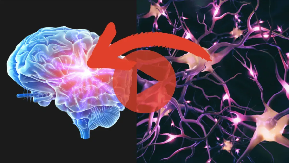 glowing brain, pink neurons, dark background, 3D medical render
