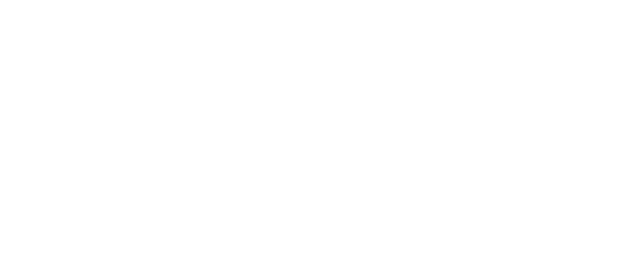 Aries Vincent Logo