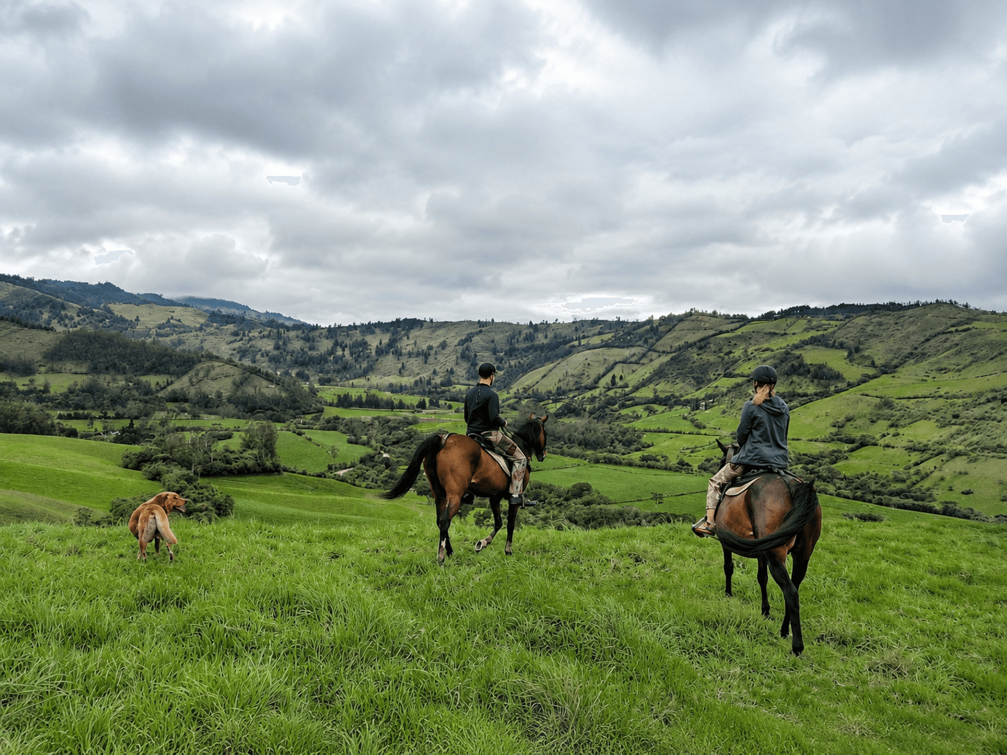 Cabalgata por el Valle de Nono