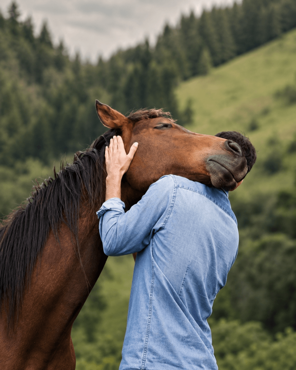 Persona conectando con un caballo de Acabayu