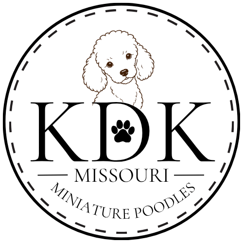 YOURLOGO